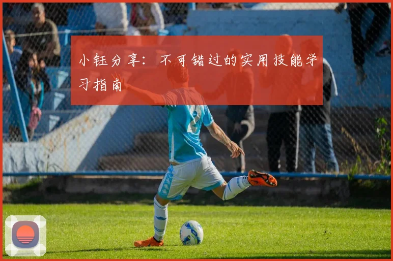 小钰分享：不可错过的实用技能学习指南